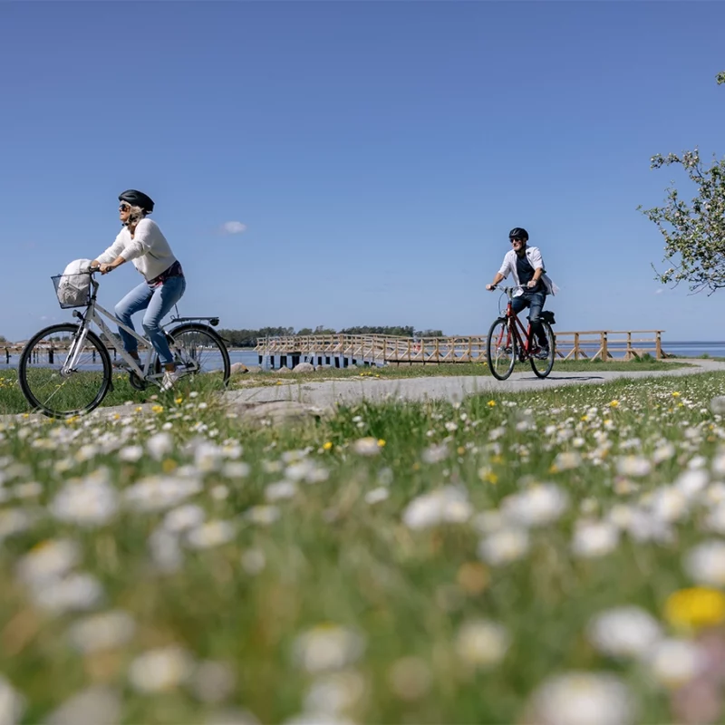 Aktiv semester på Öland