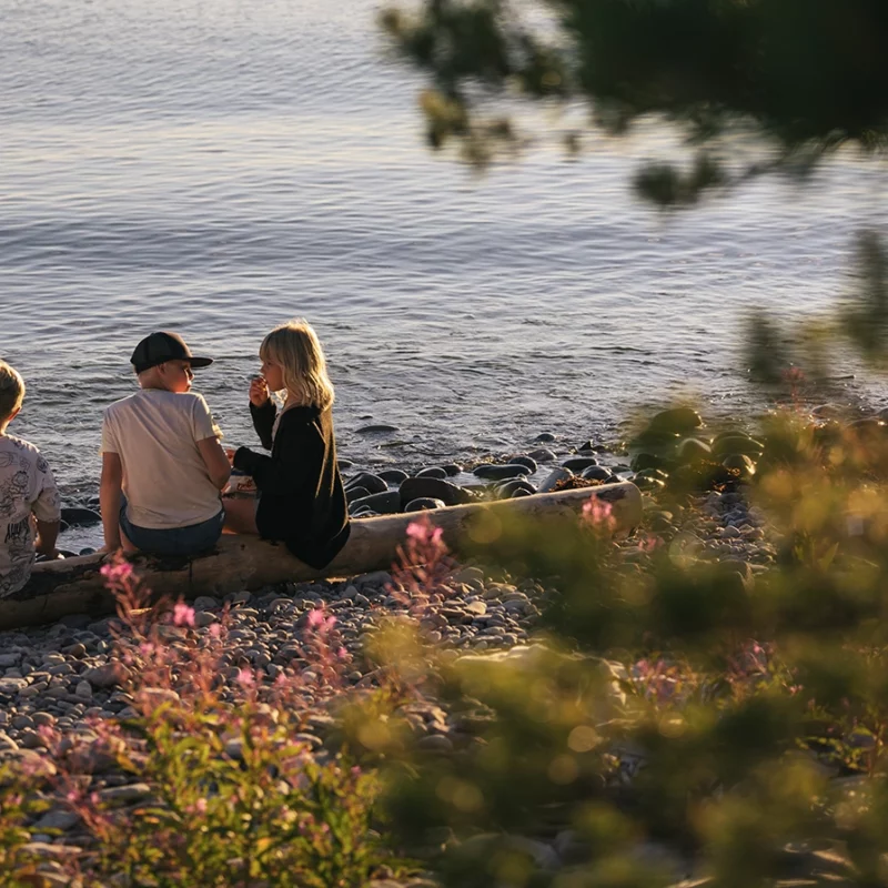 Ölands natur från din camping
